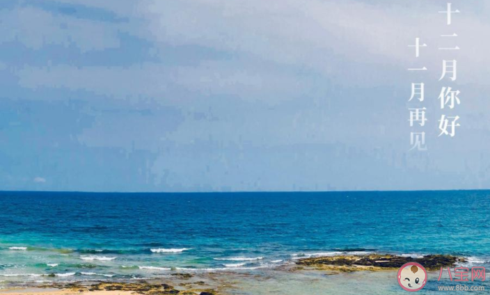 2020十一月最后一天圖片朋友圈配文 2020十一月最后一天的感受句子說說 2020十一月最后一天圖片朋友圈配文 2020十一月最后一天的感受句子說說