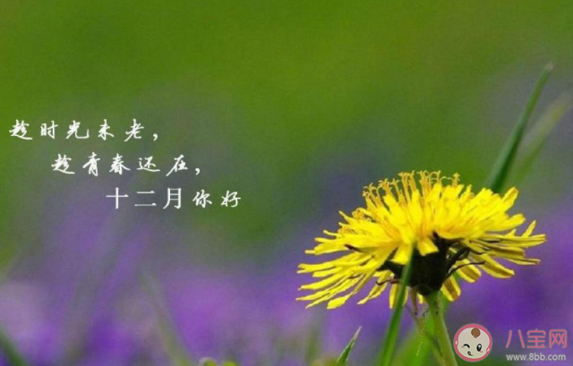 2020十一月最后一天圖片朋友圈配文 2020十一月最后一天的感受句子說說 2020十一月最后一天圖片朋友圈配文 2020十一月最后一天的感受句子說說