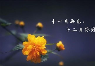 2020十一月最后一天圖片朋友圈配文 2020十一月最后一天的感受句子說(shuō)說(shuō)