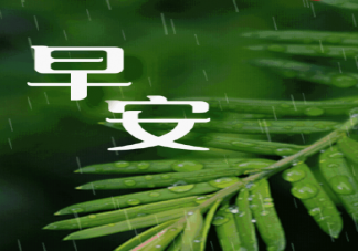 下雨天早安朋友圈說說句子 下雨天早安正能量心情語錄