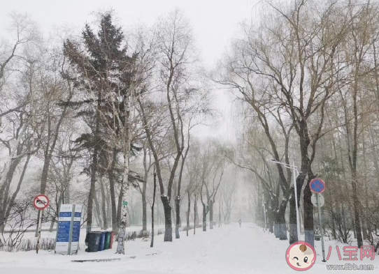 2020年哈爾濱第一場雪的發朋友圈文案 2020哈爾濱初雪心情句子