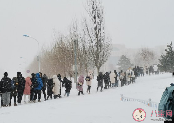 2020年哈爾濱第一場雪的發朋友圈文案 2020哈爾濱初雪心情句子