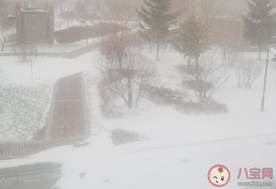 下暴雪了發(fā)朋友圈心情說說 下暴雨了記錄感言句子