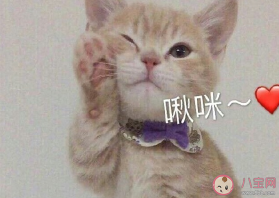 2020等待跨年的心情說說 等待跨年朋友圈文案