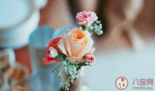 世界廁所日是哪一天 11.19世界廁所日的由來和意義