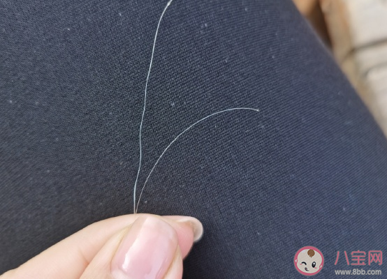 長出白頭發傷感心情說說 感嘆自己有白發的朋友圈幽默句子 長出白頭發傷感心情說說 感嘆自己有白發的朋友圈幽默句子