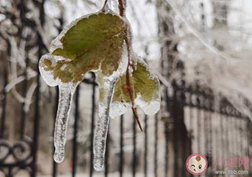 2020今天好冷怎么發(fā)朋友圈 天氣變好冷心情感言