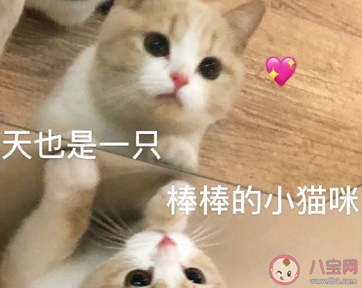 明天可以睡到自然醒了心情說說 關掉鬧鐘睡到自然醒心情感言 明天可以睡到自然醒了心情說說 關掉鬧鐘睡到自然醒心情感言