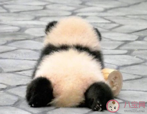 人類社交黑話指南 社交時必備的黑話盤點