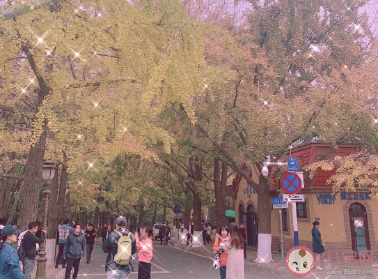 2020十一月最后一天的唯美說說 十一月最后一天致自己溫暖感言