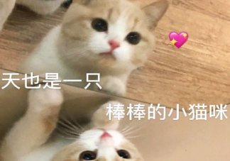 明天可以睡到自然醒了心情說說 關掉鬧鐘睡到自然醒心情感言