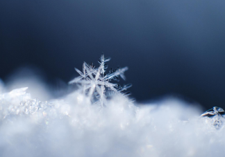 雪花有多重 南方雪重還是北方雪重