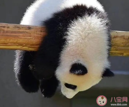 又到周末了怎么發朋友圈 周末美好時光開心簡短句子