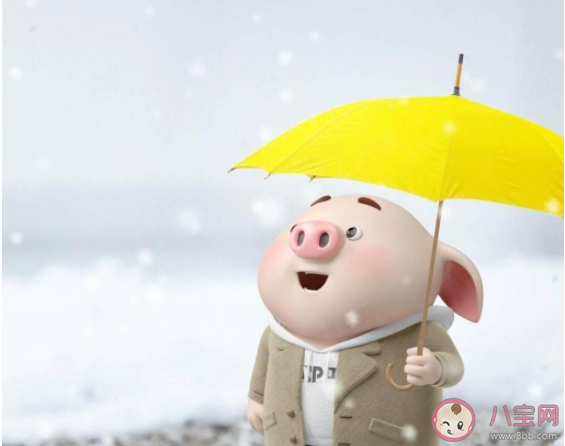 2020抖音第一場雪的文案說說 2020抖音第一場雪經典句子 2020抖音第一場雪的文案說說 2020抖音第一場雪經典句子