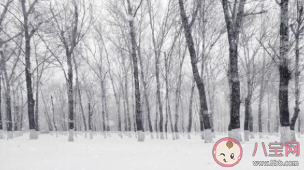 今日小雪早上好說說句子 小雪節氣早安唯美說說