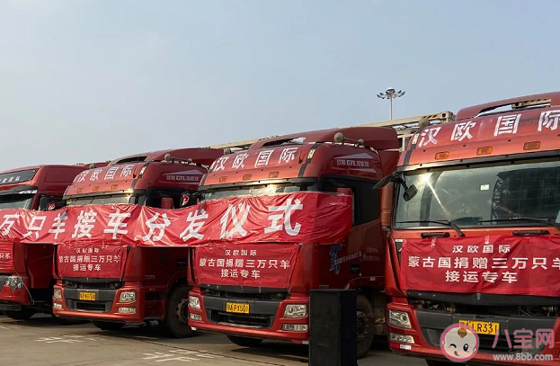 蒙古國捐贈(zèng)3萬只羊如何分發(fā) 冬天吃羊肉對身體的好處 蒙古國捐贈(zèng)3萬只羊如何分發(fā) 冬天吃羊肉對身體的好處