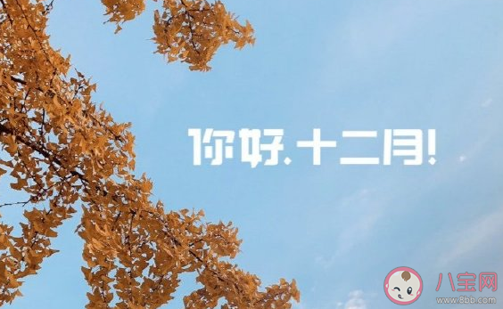 2020十二月早安溫馨祝福合集 十二月你好正能量微信朋友圈 2020十二月早安溫馨祝福合集 十二月你好正能量微信朋友圈