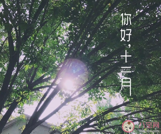 2020十二月早安溫馨祝福合集 十二月你好正能量微信朋友圈 2020十二月早安溫馨祝福合集 十二月你好正能量微信朋友圈