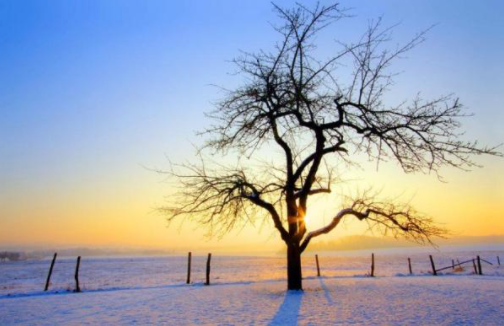 小雪晚安心語走心祝福語句子 小雪時節晚安的朋友圈文案大全 小雪晚安心語走心祝福語句子 小雪時節晚安的朋友圈文案大全
