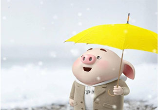 2020抖音第一場雪的文案說說 2020抖音第一場雪經典句子