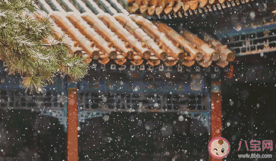 2020看故宮的的雪朋友圈配圖文案 看到故宮的雪心情說說 2020看故宮的的雪朋友圈配圖文案 看到故宮的雪心情說說