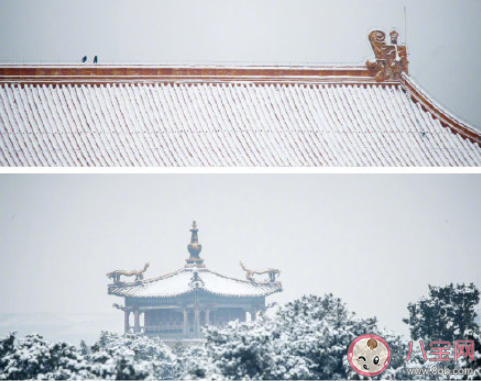 關于故宮的雪唯美說說語錄 故宮的雪發朋友圈感受說說 關于故宮的雪唯美說說語錄 故宮的雪發朋友圈感受說說