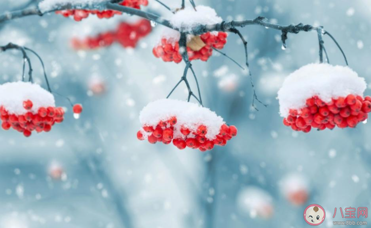 2020雪景的朋友圈心情說說 2020下雪了發朋友圈內心感受 2020雪景的朋友圈心情說說 2020下雪了發朋友圈內心感受