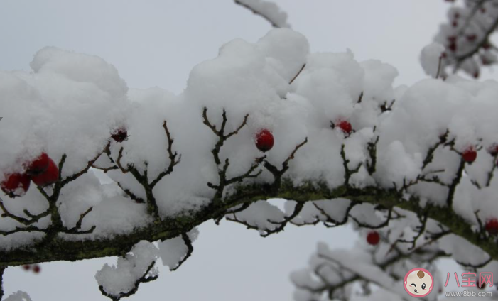 2020雪景的朋友圈心情說說 2020下雪了發朋友圈內心感受 2020雪景的朋友圈心情說說 2020下雪了發朋友圈內心感受