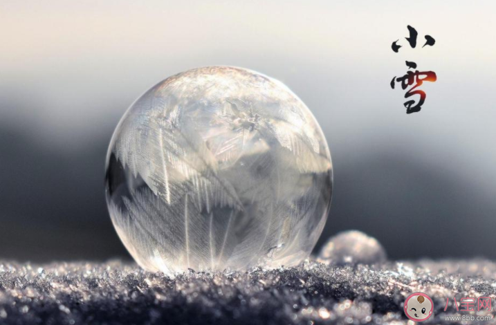 立冬之后小雪已至的朋友圈心情說說 立冬之后是小雪的感慨說說 立冬之后小雪已至的朋友圈心情說說 立冬之后是小雪的感慨說說