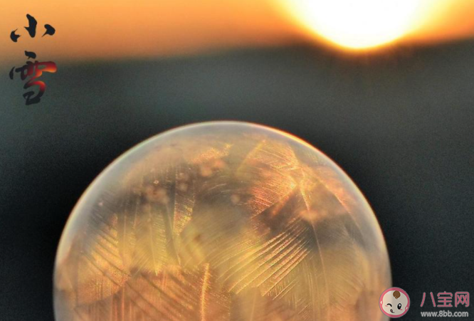 立冬之后小雪已至的朋友圈心情說說 立冬之后是小雪的感慨說說 立冬之后小雪已至的朋友圈心情說說 立冬之后是小雪的感慨說說