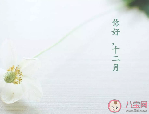 2020適合十一月再見十二月你好正能量微信句子 十二月來了唯美微信大全 2020適合十一月再見十二月你好正能量微信句子 十二月來了唯美微信大全