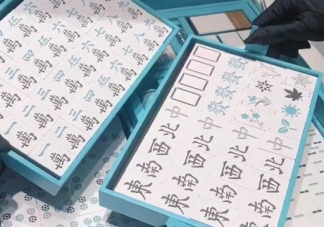 蒂芙尼麻將多少錢在哪可以買 蒂芙尼麻將的尺寸多大