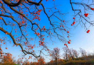 十二月第一天的朋友圈微信祝福語 十二月第一天勵志說說語錄