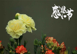 2020感恩節(jié)到了的優(yōu)美文案說說 2020感恩節(jié)來了的唯美文案句子