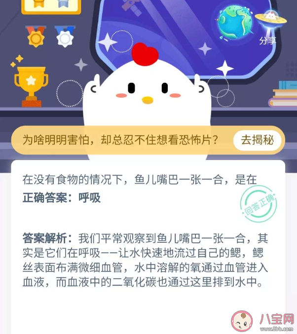在沒有食物的情況下魚兒嘴巴一張一合是在干什么 螞蟻莊園11月23日今日答案最新