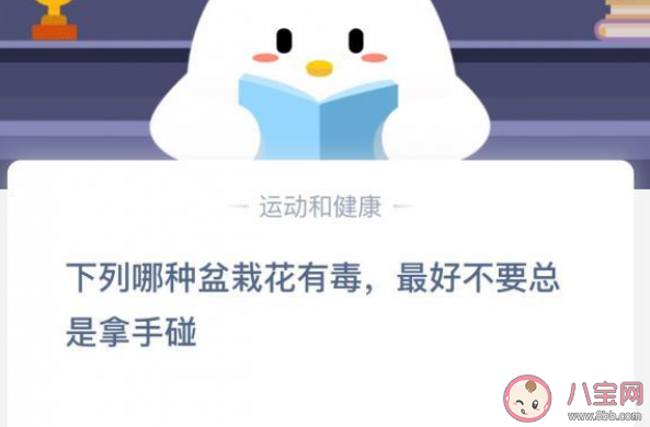 夜來香和含羞草哪種盆栽有毒 支付寶螞蟻莊園11月23日答案