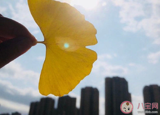 一夜之間就降溫了發朋友圈說說 一夜之間變冷了簡短關心句子