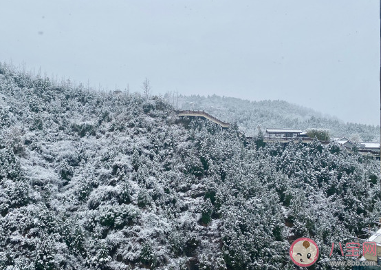 2020關于初雪發朋友圈文案 看見初雪心情感言句子 2020關于初雪發朋友圈文案 看見初雪心情感言句子