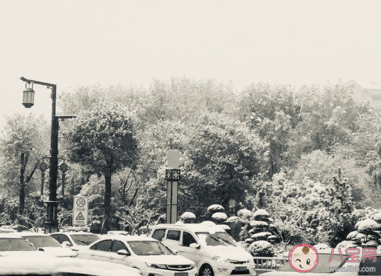 2020關于初雪發朋友圈文案 看見初雪心情感言句子 2020關于初雪發朋友圈文案 看見初雪心情感言句子