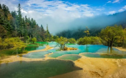 四川黃龍鈣華是怎么形成的 鈣華地貌形成的原因 四川黃龍鈣華是怎么形成的 鈣華地貌形成的原因