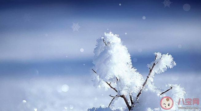 關于下雪的朋友圈文案 適合下雪發朋友圈配圖文藝句子 關于下雪的朋友圈文案 適合下雪發朋友圈配圖文藝句子