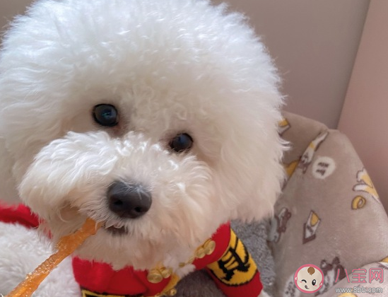 期待過年的心情說說 盼望過年感慨句子大全