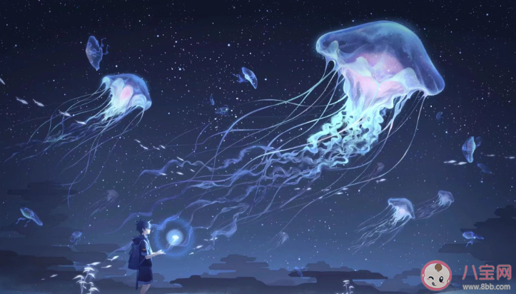 驚艷美好卻小眾的句子大全 小眾而又有情調的句子 驚艷美好卻小眾的句子大全 小眾而又有情調的句子