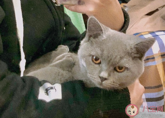 進(jìn)入冬天的說(shuō)說(shuō)發(fā)朋友圈心情說(shuō)說(shuō) 開(kāi)始過(guò)冬天幽默搞笑句子 進(jìn)入冬天的說(shuō)說(shuō)發(fā)朋友圈心情說(shuō)說(shuō) 開(kāi)始過(guò)冬天幽默搞笑句子