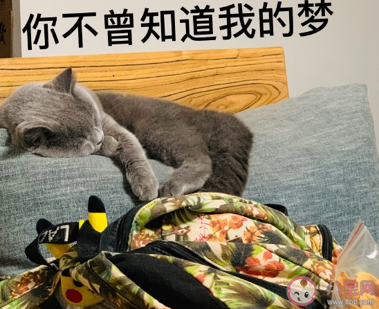 天冷凍手凍腳幽默說說 天冷了手腳好冷心情感言 天冷凍手凍腳幽默說說 天冷了手腳好冷心情感言