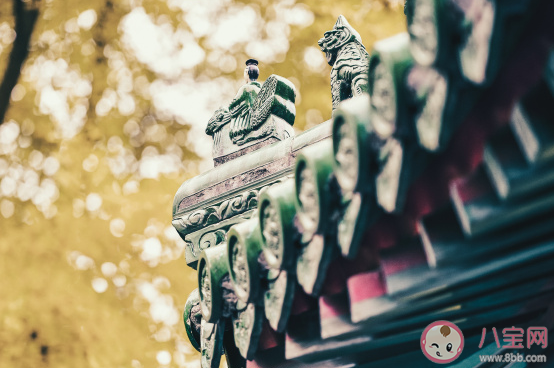 十二月來了說說心情短語2020 12月請善待我感言句子 十二月來了說說心情短語2020 12月請善待我感言句子