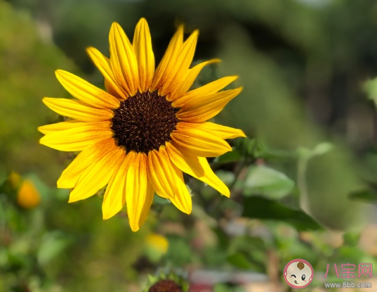 突然感覺很難過的說說 一瞬間心里難受的心情感言 突然感覺很難過的說說 一瞬間心里難受的心情感言