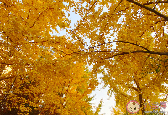 突然感覺很難過的說說 一瞬間心里難受的心情感言 突然感覺很難過的說說 一瞬間心里難受的心情感言