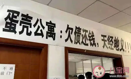 被蛋殼套牢的年輕人如何自救 蛋殼公寓最新消息情況 被蛋殼套牢的年輕人如何自救 蛋殼公寓最新消息情況