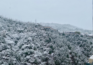 2020關于初雪發朋友圈文案 看見初雪心情感言句子